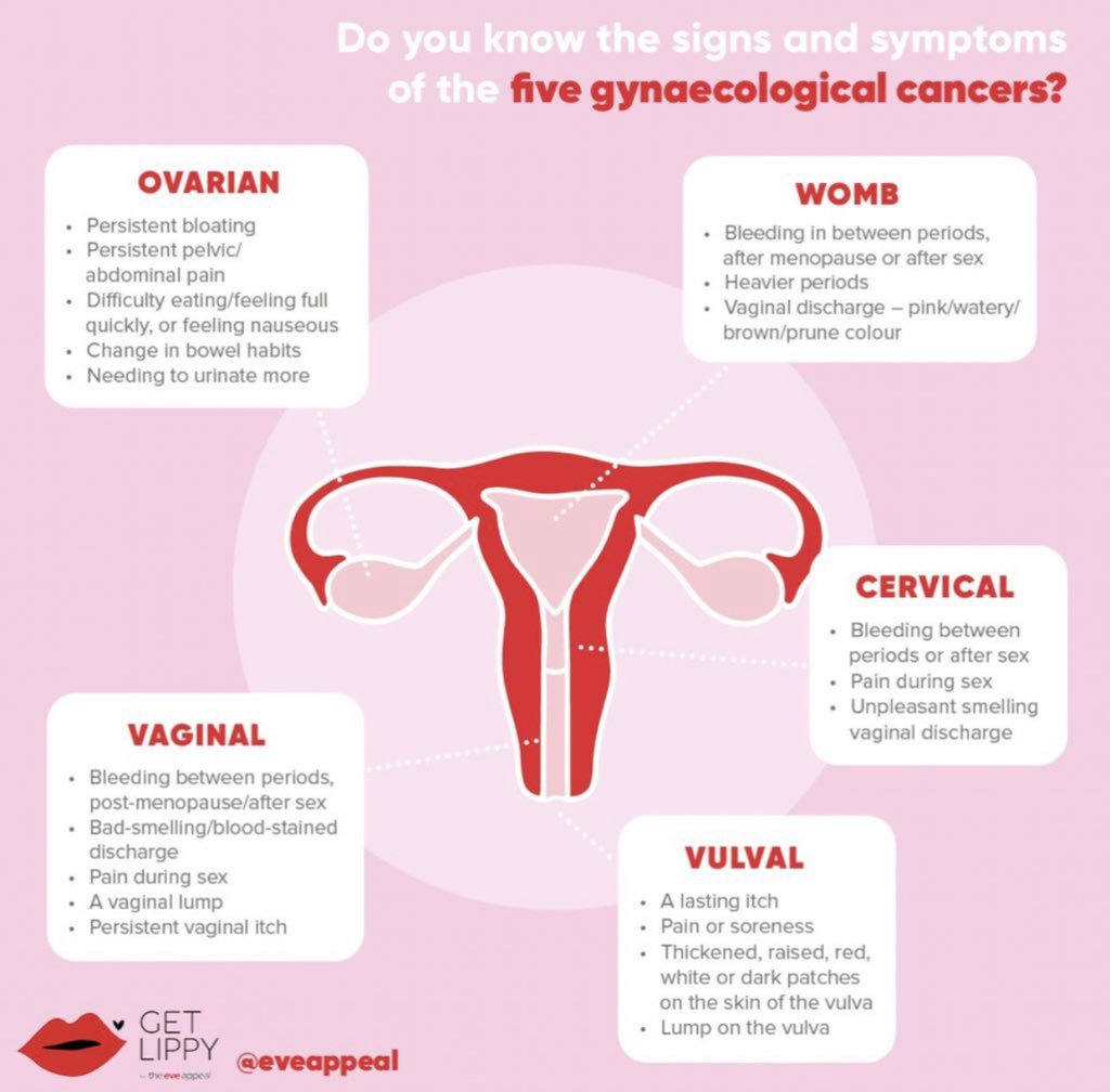 zoyaalii_'s tweet photo. Many 25-34 year olds would delay getting mid-cycle bleeding checked, despite it being a sign of 3 gynecological cancers.
#GetLippy, help @eveappeal spread awareness & educate women about our bodies! ♥️
#fertility #femtech #womenshealth #cancer #Askeve #endometriosis #women https://t.co/4sKCBKbWBw