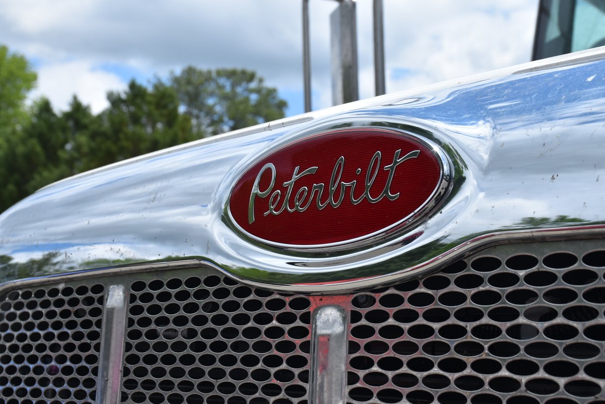 SBDelivers's tweet image. Here at Sweetie Boy Delivers we are excited to introduce the newest family member to our team. Her journey from Texas left her a little dirty but she is ready to be cleaned up and dressed in our official Sweetie Boy PINK &amp;amp; BLUE!