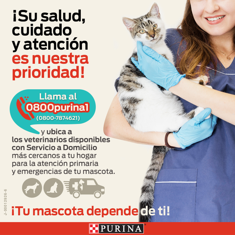 Ubica a los veterinarios disponibles con servicio a domicilio más cercanos a tu hogar llamando al 0800-7874621 ¡Su salud y cuidado es nuestra prioridad!