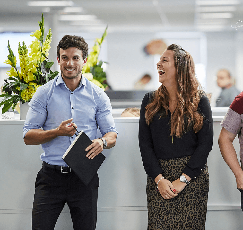 Scaffolding Assoc tweet media