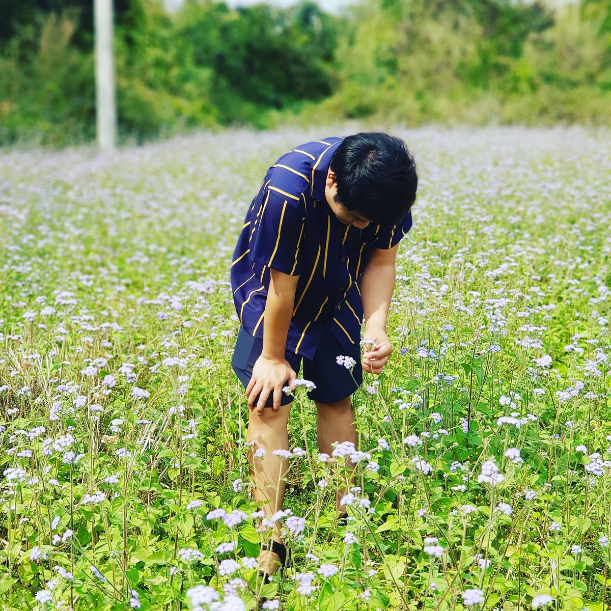 PKanolath's tweet photo. ດີແລ້ວ...ທີ່ຖີ້ມກັນ https://t.co/KxrnK4njsF