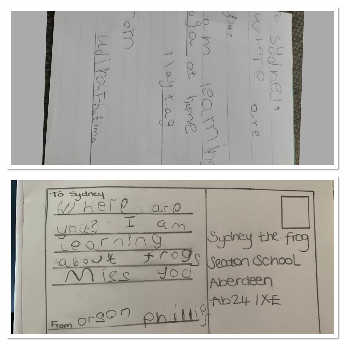 P1Bmisschurch's tweet photo. Seatonโs Class of the Week mascot Sydney has run away so P1B have written postcards to tell him about what learning is like at home. Hopefully this will make him return to Mrs Verling for his learning! ๐ธ@school_seaton #TeamSeaton #aberdeenlearns #ExcitingWriting https://t.co/I5ckxkAPOq