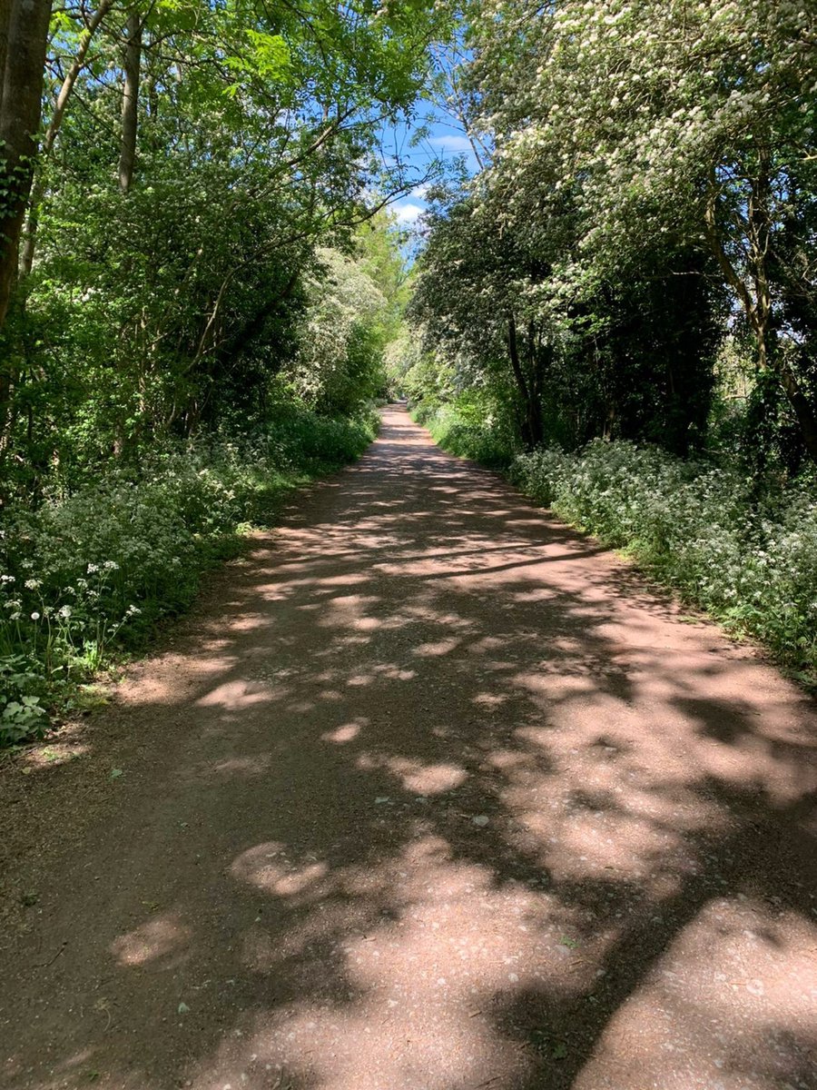 StaffsFire's tweet photo. Our CSOs are continuing patrols throughout the Wombourne Railway Walk today. It is such a beautiful area; we also saw some artwork along the way. Please be our eyes and ears. If you see any suspicious activity, call 101. If you see a fire call 999. #flamesarentgames #stayalert https://t.co/Ig41IdxFxc
