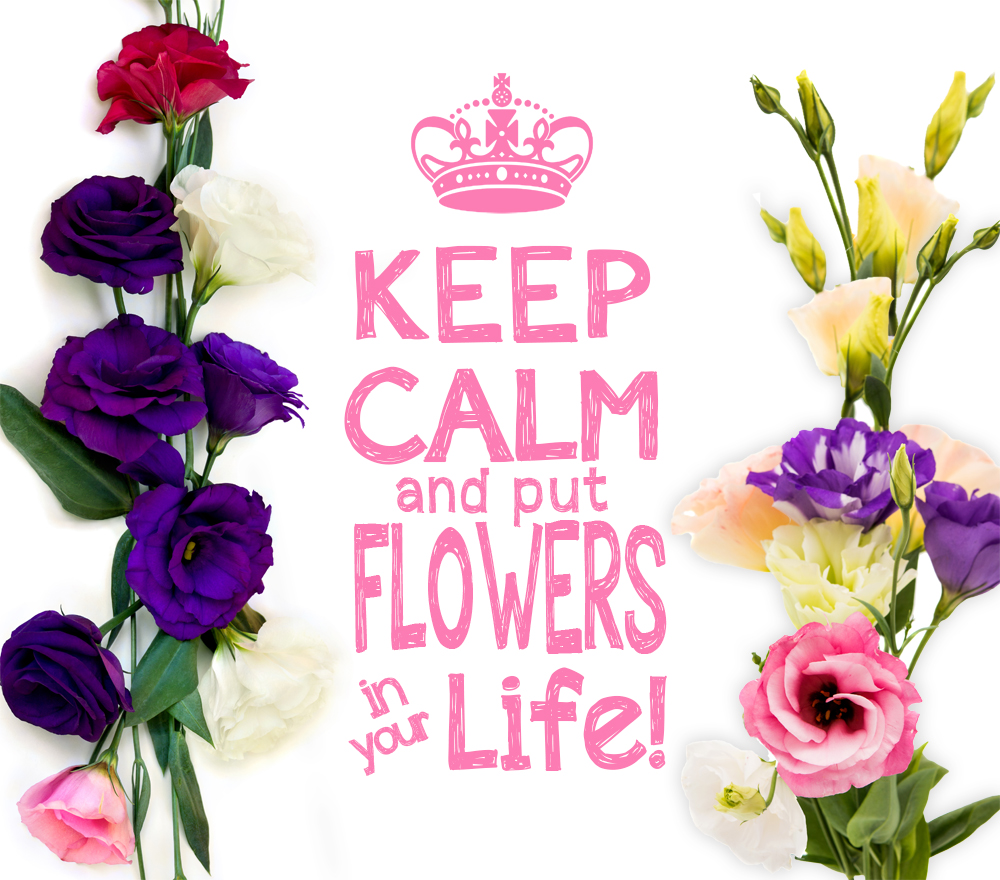 Floralife1938's tweet photo. Keep Calm! 🌸
#FloralifeFollowTheFlowers https://t.co/F0OULHi1JD