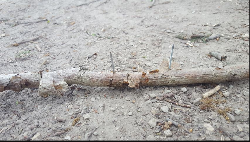 Tak met spijkers gevonden in natuurgebied Haaksbergen, politie zoekt getuigen .