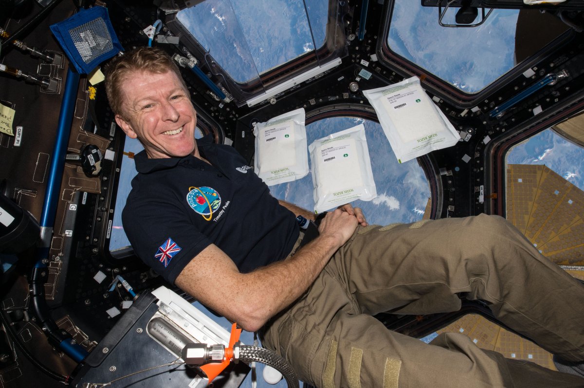 spacegovuk's tweet photo. Would seeds that have been to space still grow normally? 🌱

Could they provide food for future space missions? 🚀

Join @astro_timpeake and guests from @RoyalHolloway and @The_RHS on Monday to find out, in Episode 3 of #TimTalksSpace!

Live from 11:30 ▶️ https://t.co/FzD226uHeP https://t.co/ZPGr2f02ux