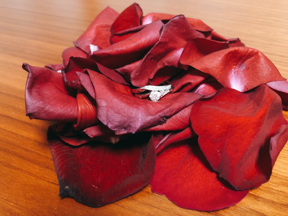 はな 医療英語学習中 フリーランス 元看護師 V Twitter 薔薇の花って なぜあんなに美しく儚く散るのだろうか オンライン結婚式で使った花がとうとう散ってきたので 散った花びらに結婚 婚約指輪を埋めて遊びました 花びらで新しい花が咲いたので満足です