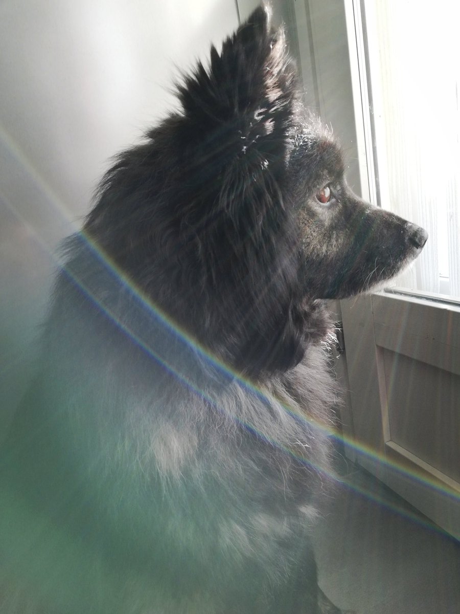 Frez (@imfrezyys) on Twitter photo 