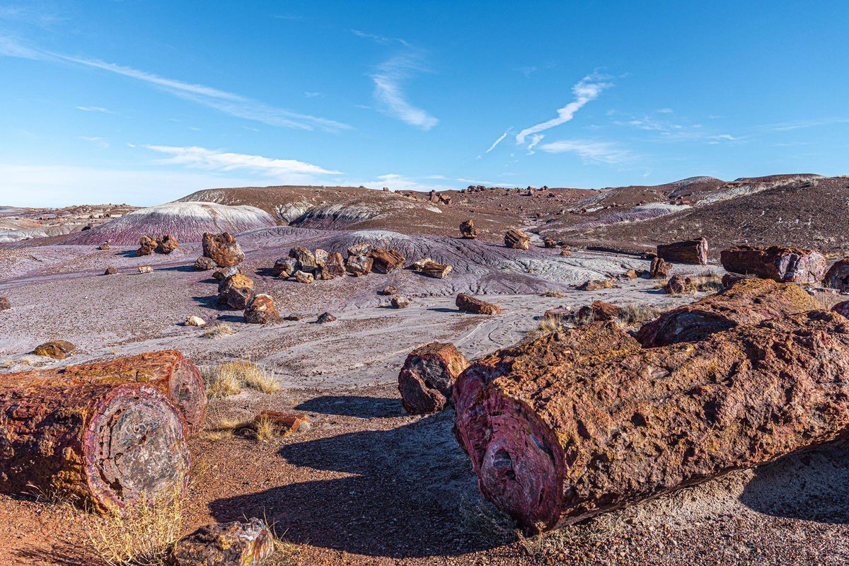 ViajeCostaOeste's tweet photo. Petrified Forest - Arizona
#viajeCostaOeste #EEUU #CostaOeste #USA #DelfiSanchez #RoadTrip #guiasdeviaje #viajes #viatges #viajaraUSA #WestCoast #costaoesteeeuu #costaoesteusa #usailustrated #photography #visitusa #arizona #petrifiedforest https://t.co/ljaMo5HVXm