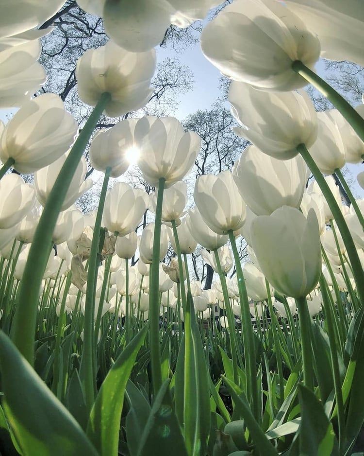 Fantine_LFN's tweet photo. รดเปดาอ้าแส่ปดสส่ปพ https://t.co/lyPjlHP8GN