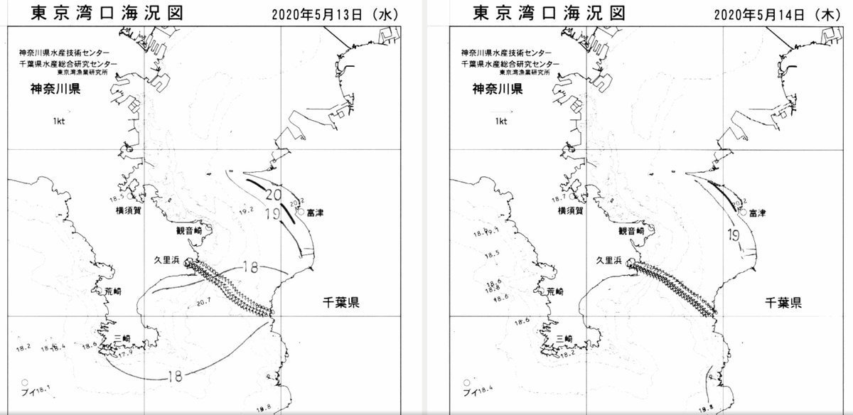 にられば 05 15 予報 明日は小潮 朝から1日下げ 明日は南西の風が強めなのでトモの方が釣りやすいのかな 赤クラゲ発生中 要タワシor歯ブラシ 東京湾 タイドグラフ 風速 天気 海況図 予報