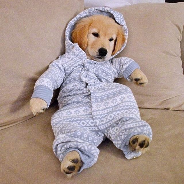 —Vía Instagram—

10/05;;
Aquí una muestra de cómo pasamos festejando en familia a <a href="/AutumnRxses/">Phoenix Rose (6M)</a> por su primer día de las madres.