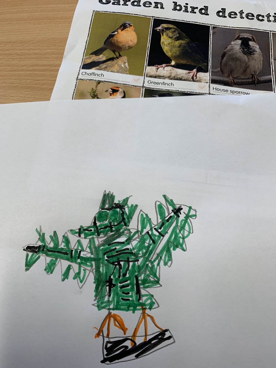 pandasclass's tweet photo. Jacob has enjoyed being a bird detective.  Look at his amazing picture of a greenfinch. 🦜 https://t.co/sBfJI5IdMM