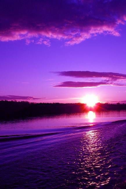 💜