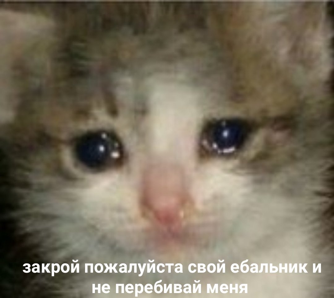 - Я просто хочу бегать по деревне с курицами и обнимать их

- Но курицы кусаются, ты не....

-