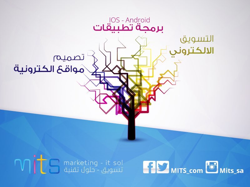 MITS (@mits_sa) / Posts / X