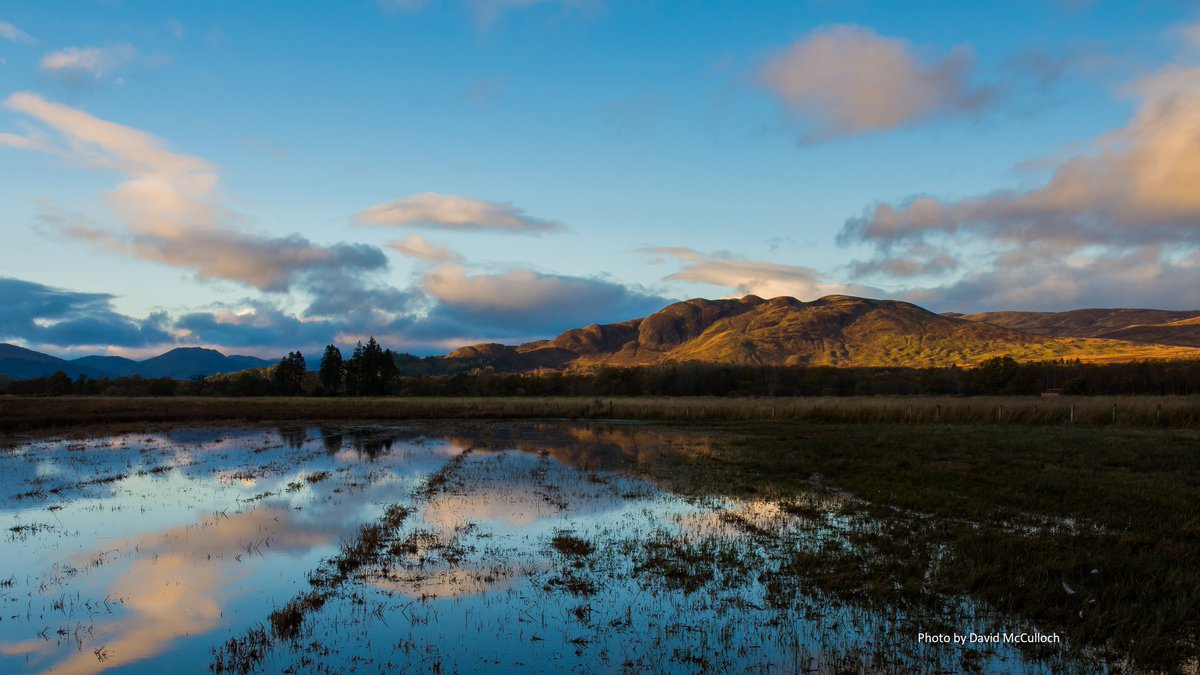 RSPB Scotland is working hard to improve protected areas on its reserves. Our 100% LIFE project aims to have all the most important sites on our reserves in the best condition. But we are worried about what’s happening elsewhere in Scotland.