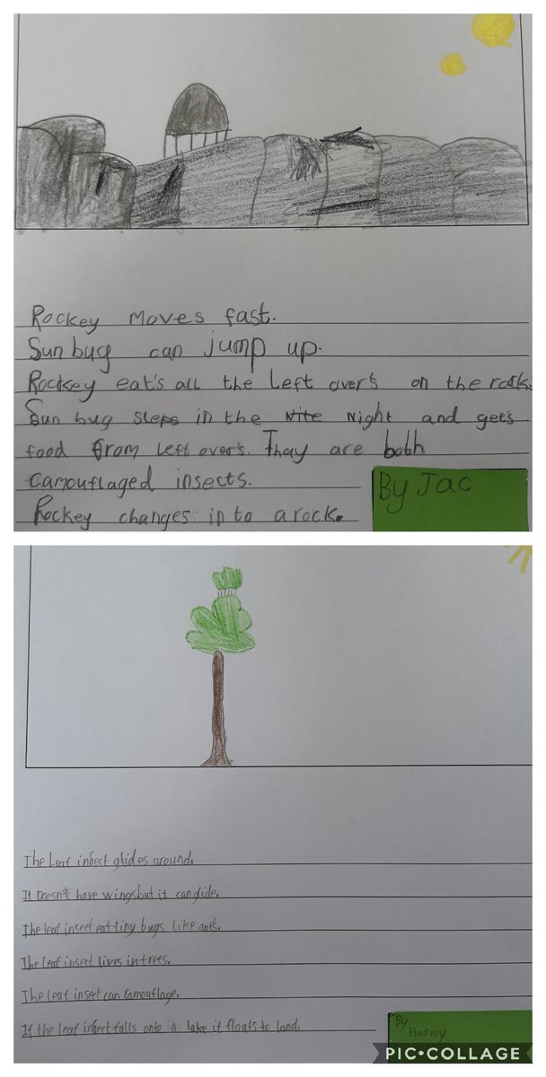 godwinbev's tweet photo. My 7 year old twin boys loved this challenge today!! They enjoyed writing (thank you!) ... all about the insects they'd created! #ForestFixChallenge @ForestryEngland https://t.co/mbZJLfgGMH