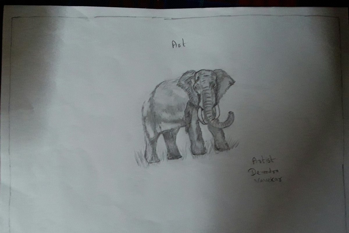 dev99559's tweet image. 