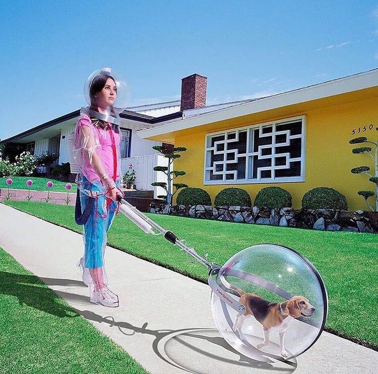 Köpek:Sal azk,öleyim daha iyi bu ne?