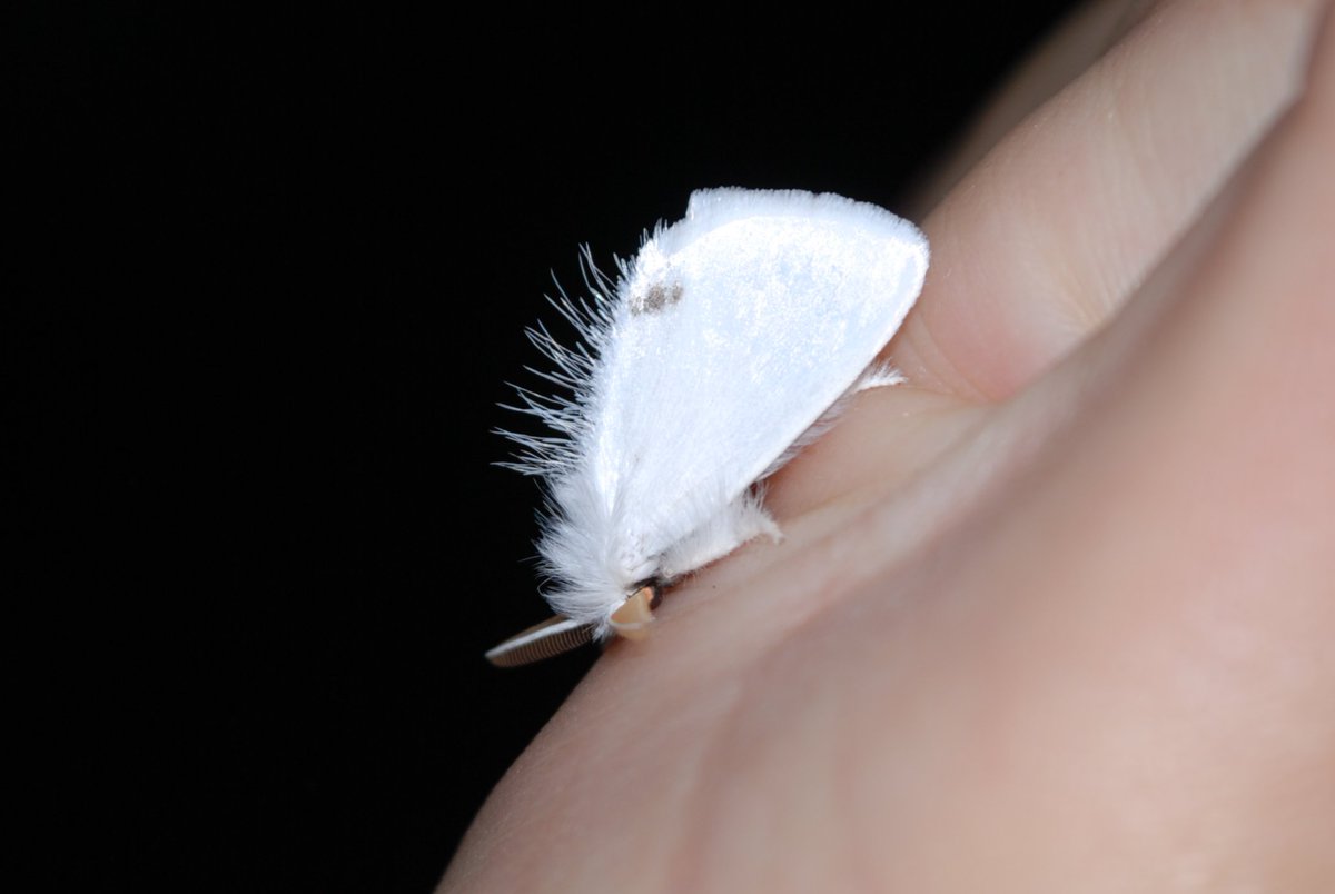 Mijnblogje.nl on Twitter: "Oeps, verkeerde emoji🥴. Hier komen praatjes