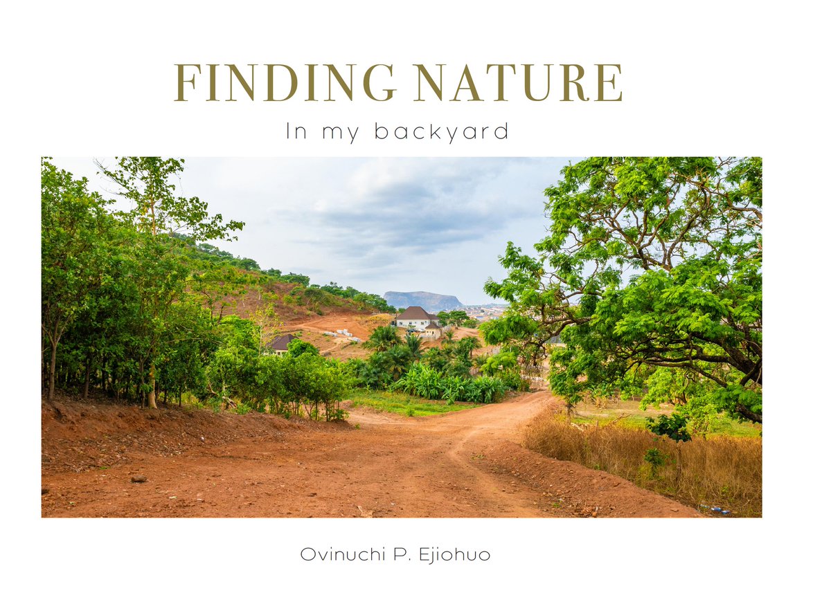 vinuchiandmills's tweet photo. Powerful photobook by @oviidaniel
The #COVID19 pandemic has created challenges for #phographers, creatives, and the world at large.
Here is a FREE photobook https://t.co/j3ERiJtVzK documenting the healing power of our neighborhood #environment that we often forget. https://t.co/MLmAQhYu5l