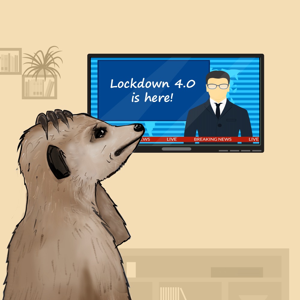 Meerkat_me's tweet photo. It feels like an eternity now 🥱😓
What do you think?  #LockdownGotExtended #QuarantineLife https://t.co/6c3IlxPtm2