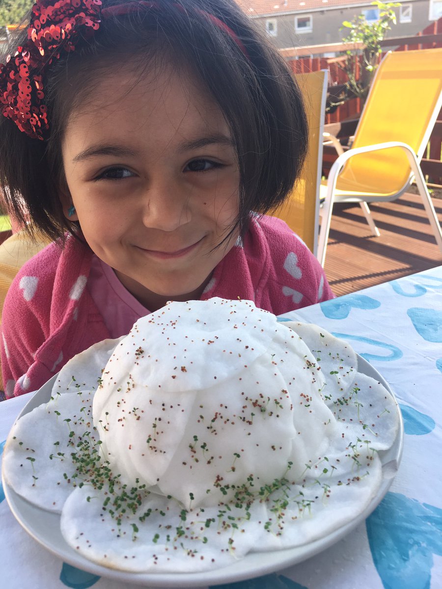 SAnna89a's tweet photo. Jasmine’s experiment is working!! 😊 watercress slowly growing and beans started to drow their first roots 😊 she is checking them everyday such a responsible girl 😘😘😘 @WallacewellPS @sandrajodah https://t.co/2a5qIUHDqo