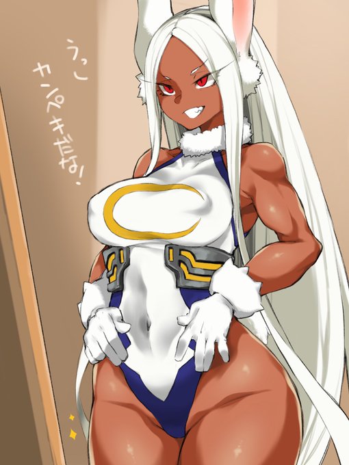 日課のミルコチェック 