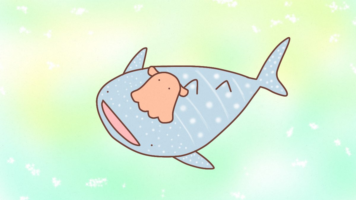 けいこっとん בטוויטר 爽やかザメシリーズその ジンベエザメ メンダコを乗せてどこまでも サメ イラスト Shark Illurstrations メンダコ けいこっとん בטוויטר 爽やかザメシリーズその ジンベエザメ メンダコを乗せてどこまでも サメ イラスト Shark Illurstrations メンダコ