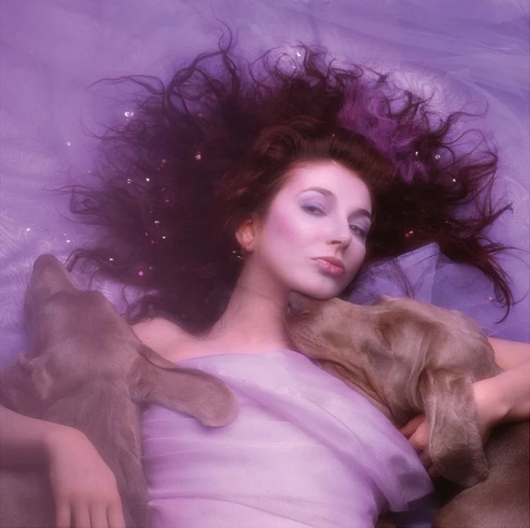 Kate Bush - Hounds of Love (1985)