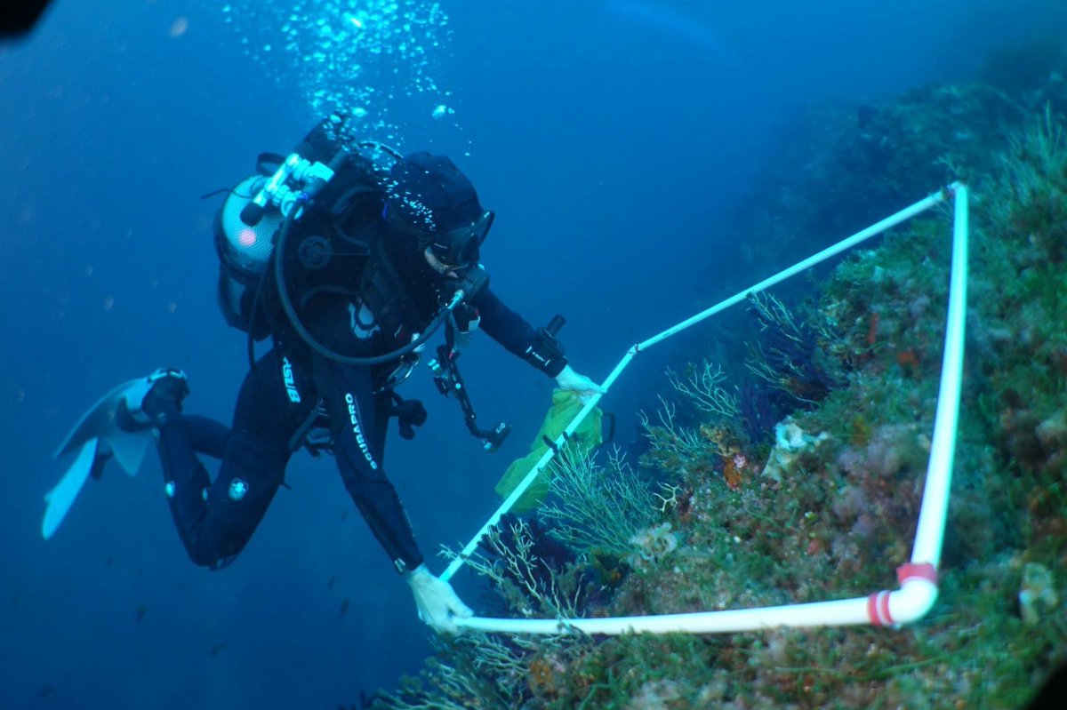egazette1's tweet photo. La più importante copertura #radar europea tutela le #aree #marine protette
Prosegue il progetto europeo #IMPACT, che aggiunge alle proprie attività il potenziamento della rete #transfrontaliera di misura e #monitoraggio delle correnti marine
https://t.co/WwF9S2ODWt https://t.co/FKDZ1Vno92