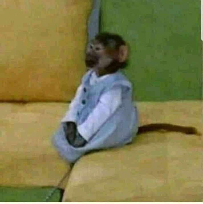 Adebanjo oluwapelumi tweet media