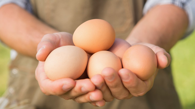 Don't forget its egg night tonight outside the White Horse from 7pm. Please remember to stay 2 meters apart whilst in the queue and if possible have the correct change!

£2.20 for 1 doz eggs