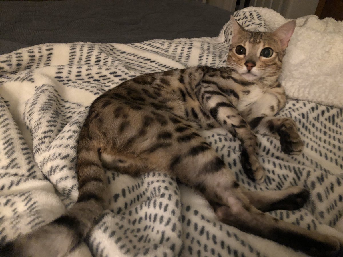 CrossleySpencer's tweet photo. Look at how much healthier he looks! This is Day 11 of 84! We are going to #beatFIP! https://t.co/7bCKup3ASt