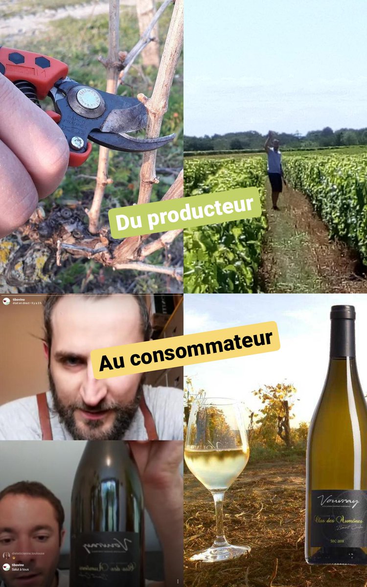 🔗Créons le LIEN entre #producteurs et #consommateurs grâce à nos #influenceurs ! 👨‍🌾🤝👨‍💻🤝👨‍👩‍👧‍👦
🙏Merci à <a href="/AveineFR/">Aveine</a> et son #collectif21 pour ce LIVE 💻avec <a href="/TiboVino/">Tibo Vino</a> , vous (abonnés Instagram) et moi ! 
#jaimemonvigneron #winetasting #winelover #tours #vin #wine #vignoble #covid_19