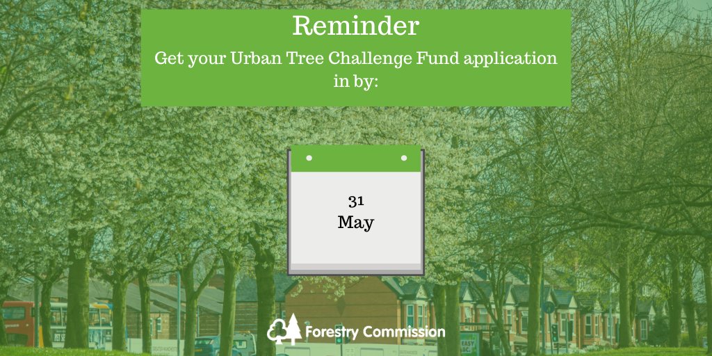 ForestryComm's tweet image. Round 2 of the #UrbanTree Challenge Fund is open now for individual applications for small tree planting. Find out more and apply
gov.uk/guidance/urban…
