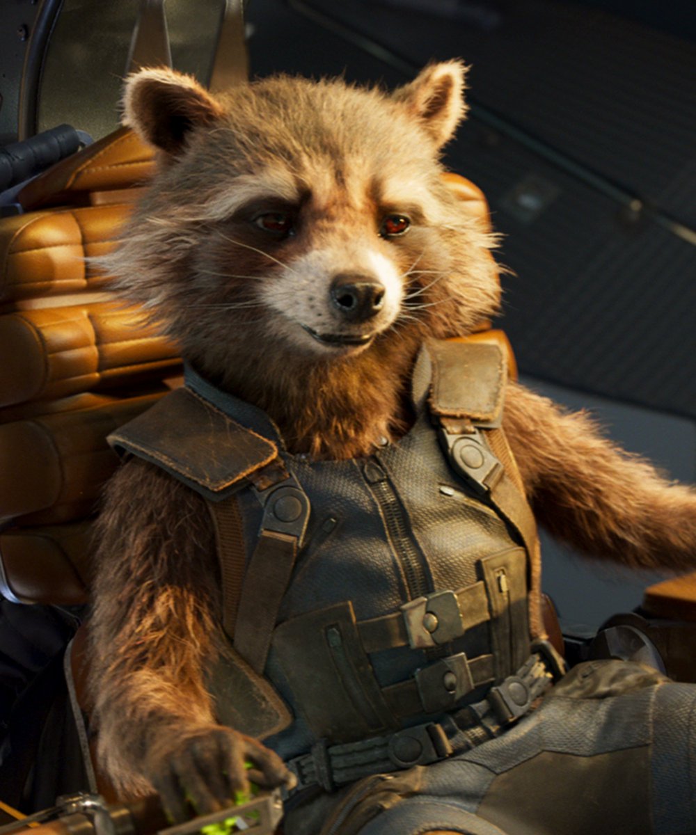 rocket raccoon