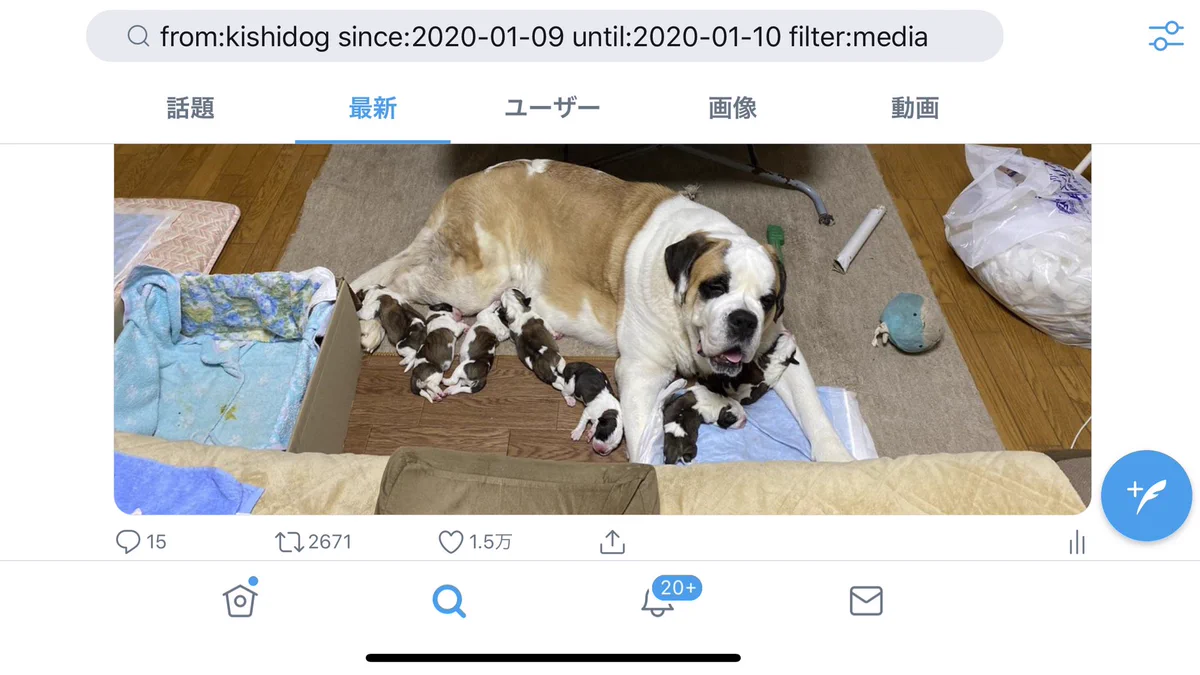 当時のメディア報道・掲載写真