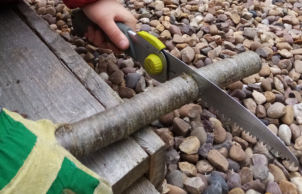 EducationReal's tweet photo. R.E.A.L. Adventure have been busy making woodland kazoos (and playing them!) at Goose Paddock
#MakingInstruments
#Kazoos
#OutdoorLearning https://t.co/C67CX151cD
