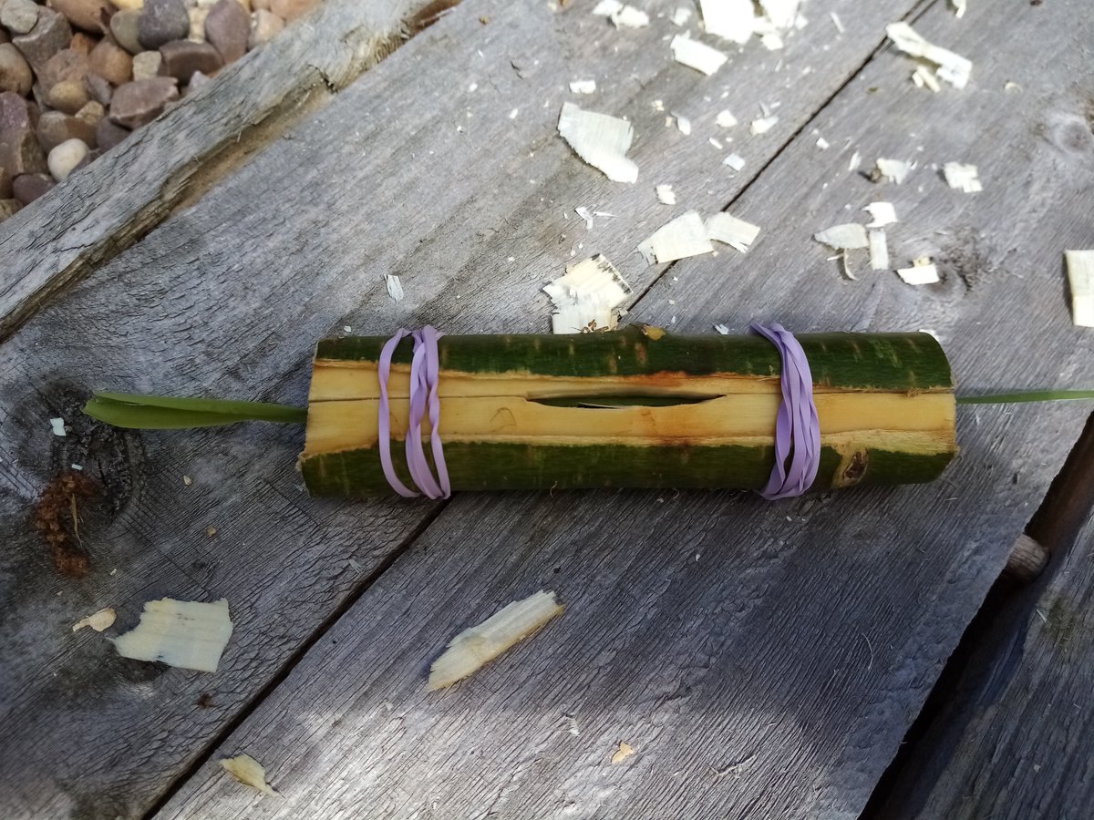 EducationReal's tweet photo. R.E.A.L. Adventure have been busy making woodland kazoos (and playing them!) at Goose Paddock
#MakingInstruments
#Kazoos
#OutdoorLearning https://t.co/C67CX151cD