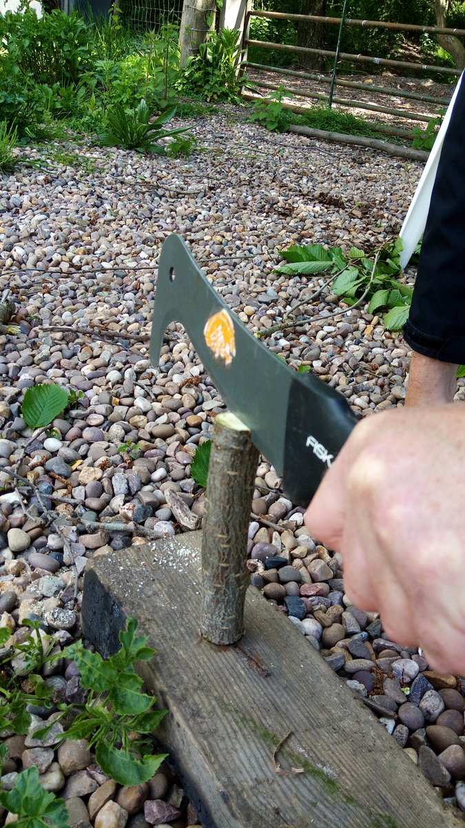 EducationReal's tweet photo. R.E.A.L. Adventure have been busy making woodland kazoos (and playing them!) at Goose Paddock
#MakingInstruments
#Kazoos
#OutdoorLearning https://t.co/C67CX151cD
