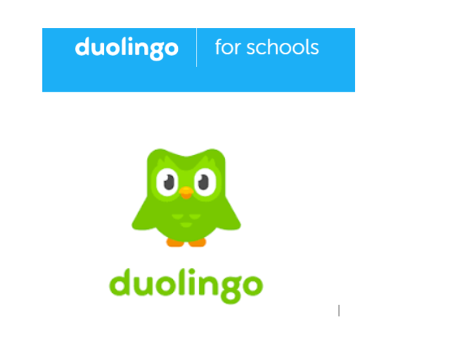 oratory_MFL's tweet photo. Great work with Duolingo from the boys in the 5 Spanish Z class! https://t.co/1hcvmd04gQ