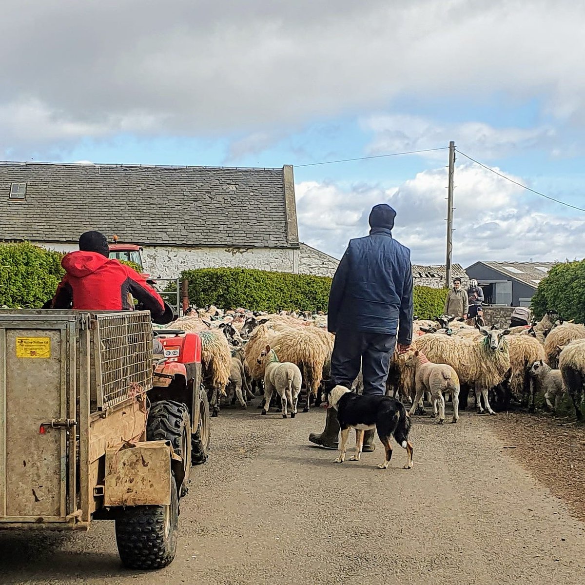 #SocialDistancing bloody traffic... 🤣🤣🤣🚴‍♂️🚴‍♂️🚴‍♂️