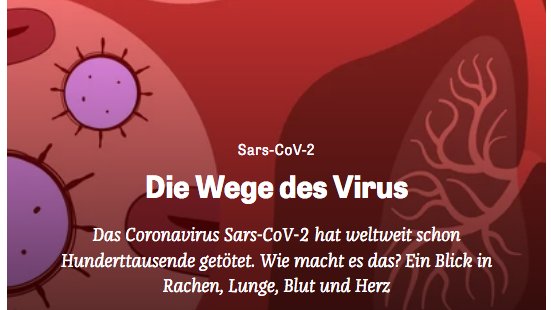 **Achtung Nerdalarm (+ tl;dr - Gefahr)**

Seit Monaten verfolge ich, was das neue #coronavirus Körper alles anrichten kann. Hier kommt ein Rundumschlag, den meine Kollegin Annick Ehmann wunderbar illustriert hat.

#COVID19 <a href="/zeitonline/">DIE ZEIT</a> <a href="/zeitonline_wis/">ZEIT ONLINE WISSEN</a> 

zeit.de/wissen/gesundh…