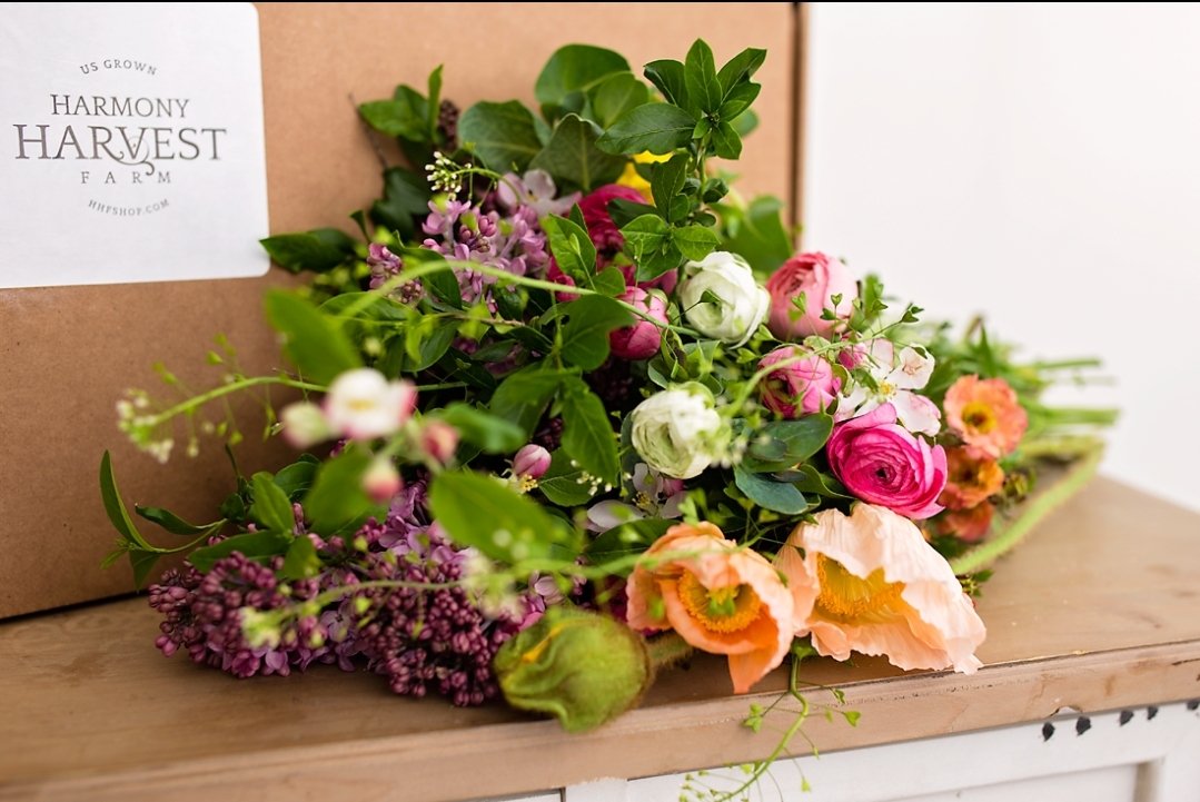 Stop. The prettiest bouquets of flowers can be shipped from our flower fields to your door. Hhfshop.com  what are you waiting for. Retweet!!!!