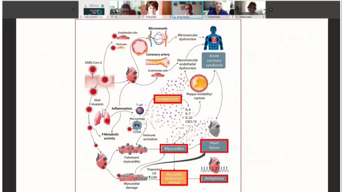SRCCardio's tweet photo. AFECTAREA CARDIOVASCULARĂ ÎN #COVID19 ~ Moderatori Dr. M. Cinteză, Dr. C. Sinescu ~ Invitati Dr. A. Ciobanu, Dr.R. Rimbaş, Dr.R. Ciudin, Dr. A. Ilieşiu ~ Conferinta de Primavara 2020 ~ https://t.co/Aoqh1enqyw ~ #CNP #GL2020 #ROCardio  @ESCardioNews https://t.co/TsQPrYuBkw