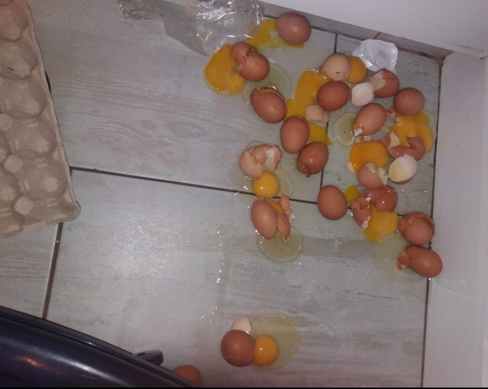 Pruhdeee's tweet photo. Have kids they said
A house with no kids iyabhora, they said
Kids bring joy, they said
Bona manje😭😭😭😭😭😭 https://t.co/on6OS7ARWg
