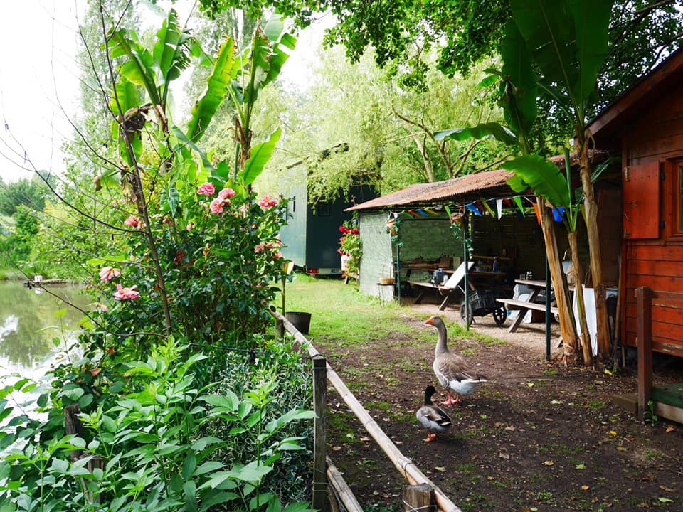 laurence_lpn's tweet photo. Home sweet home, l’expression ne s’est jamais si bien portée depuis le confinement. Et si on ne voulait plus sortir... 😬🌼🌻 A lire sur @Buzzle_com
--> https://t.co/HtsiO02lOA
#redactionweb #confinement #COVID19  #etaprès #noublionspasdemain #Deconfinement https://t.co/HLlUNejzdL