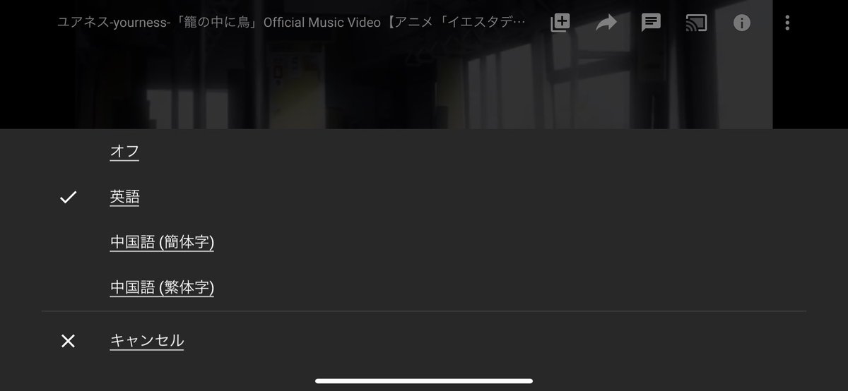 古閑翔平 ユアネス On Twitter お知らせ ユアネス 籠の中に鳥 英語 中国語 簡体字 繁体字 の 字幕が追加されました 日本語が紡ぐ 歌詞表現一説一説の ニュアンスが少しでも 伝われば嬉しいです Https T Co El4b5qdhb8 ご協力いただきまし